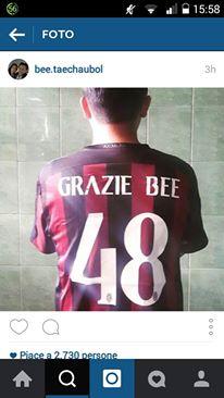 maglia bee
