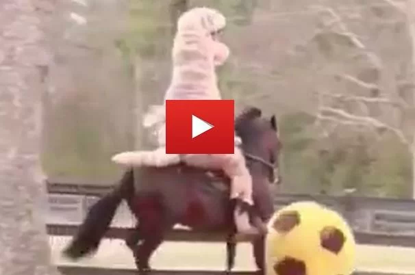 VIDEO – Asprilla fa impazzire Twitter con il suo ultimo video!