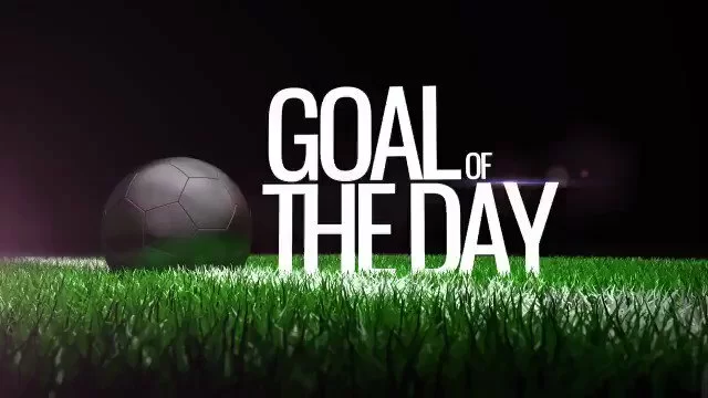 Goal of the day, la rete di Sormani contro il Catania