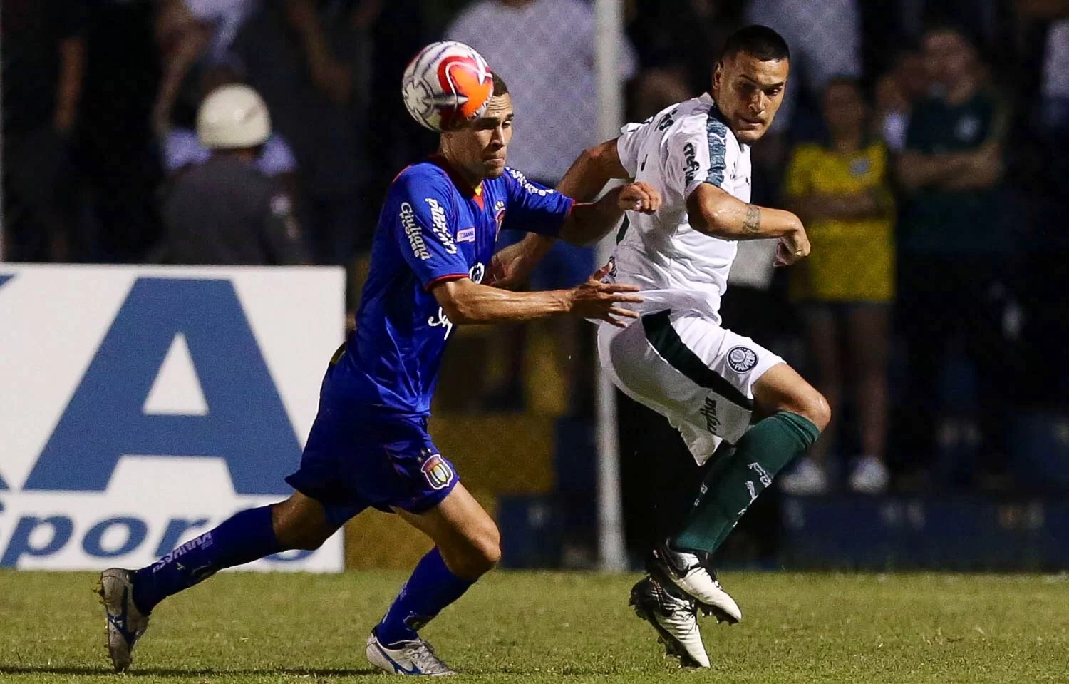 DIAVOLI FUORI SEDE/ Bene Silva, Gomez e Felicioli. Respira Gabbia