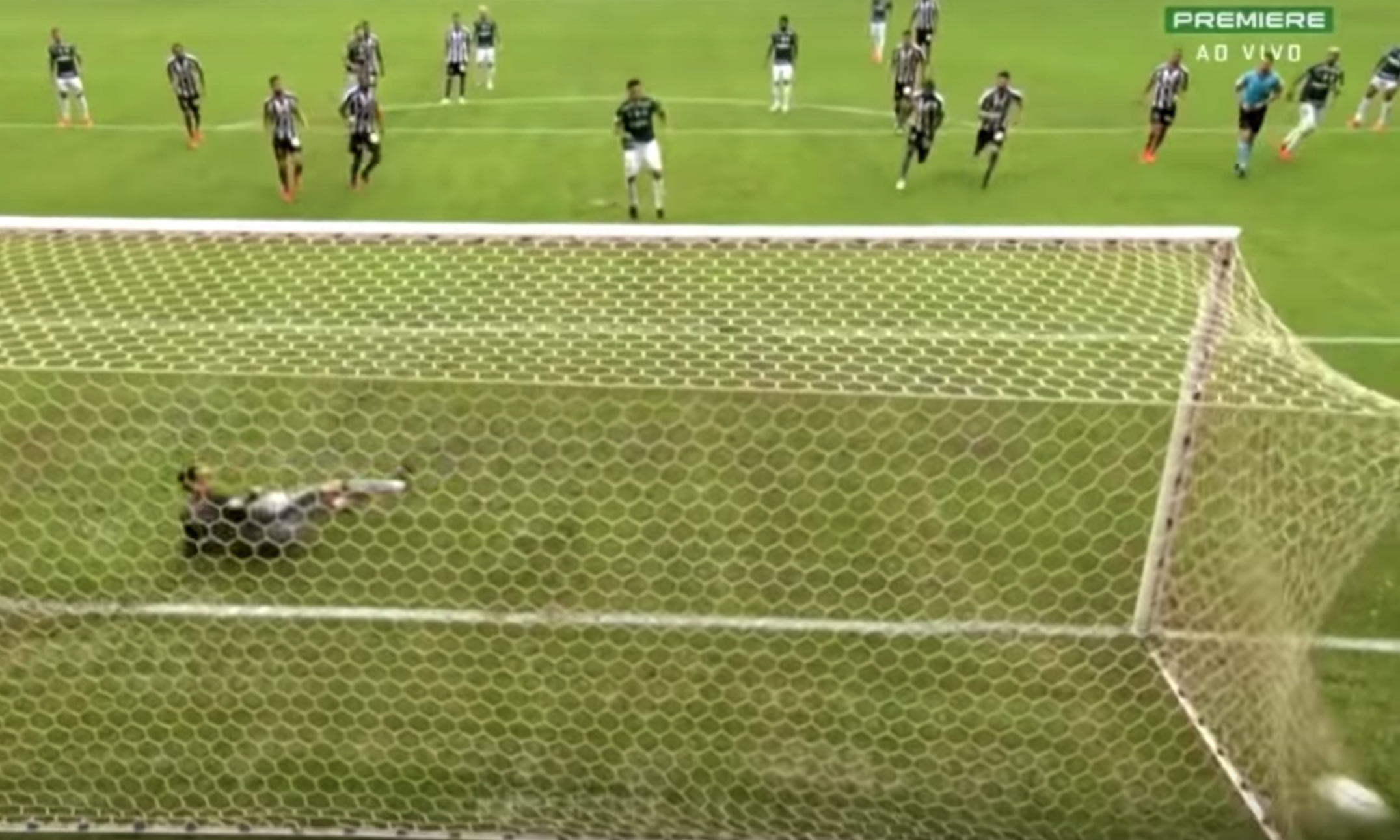 Gustavo Gomez gol Botafogo