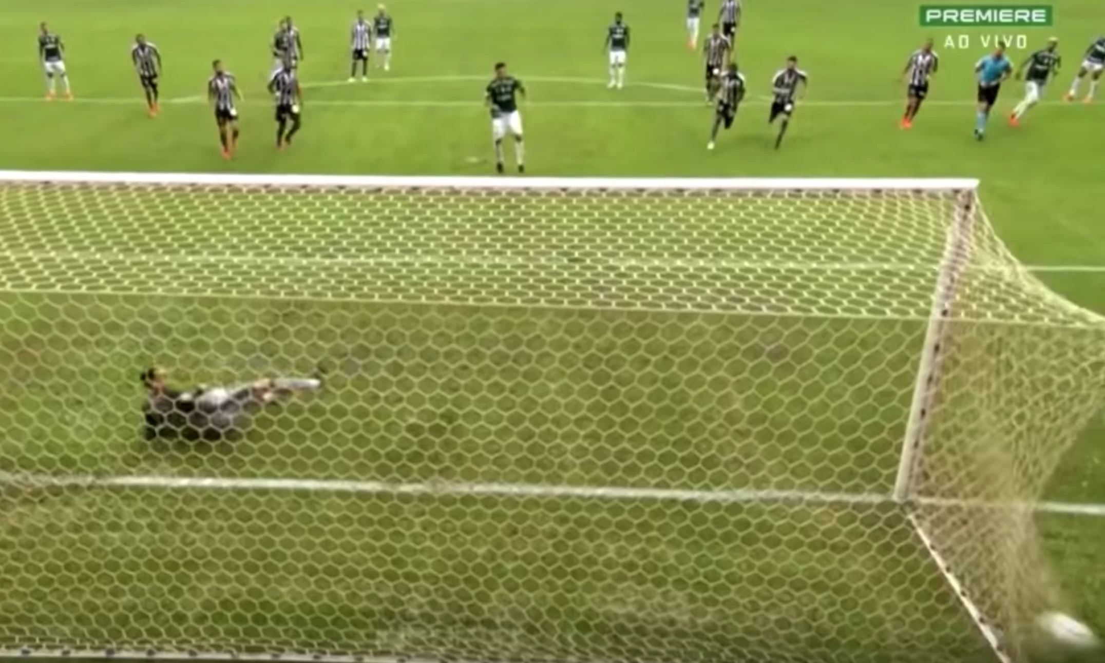 Gustavo Gomez gol Botafogo