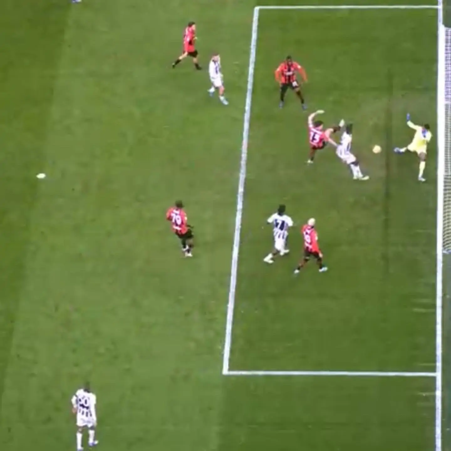 Gol dell’Udinese da annullare? L’ha detto l’ex arbitro