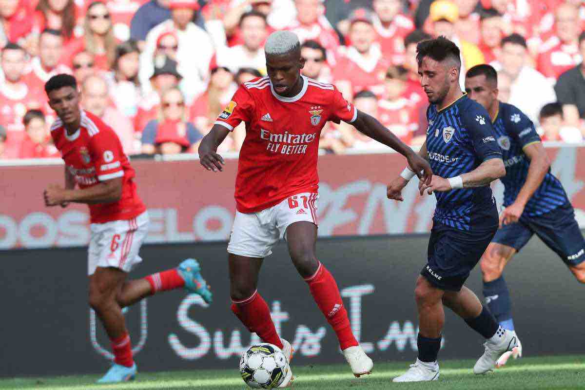 Milan. individuato il sostituto di Tonali: pronti 30 milioni