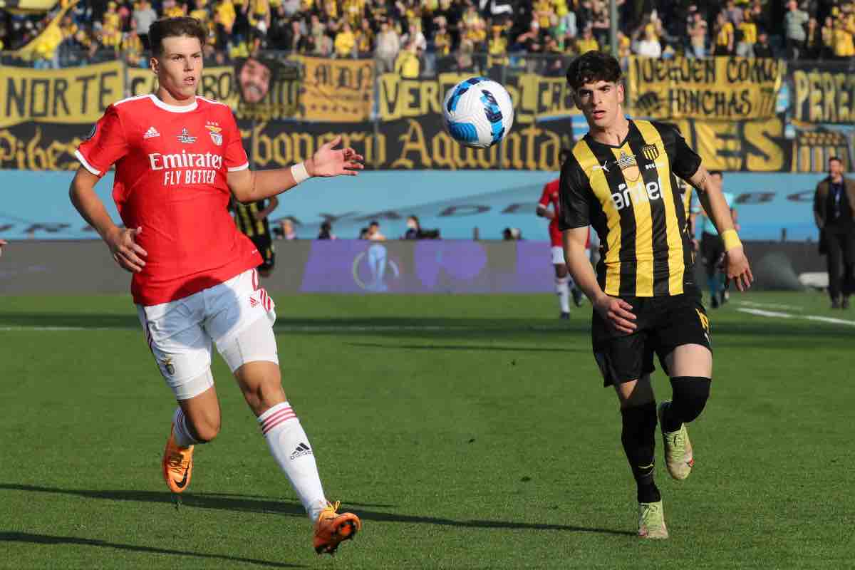 Milan su un talento del Benfica, contatti in corso