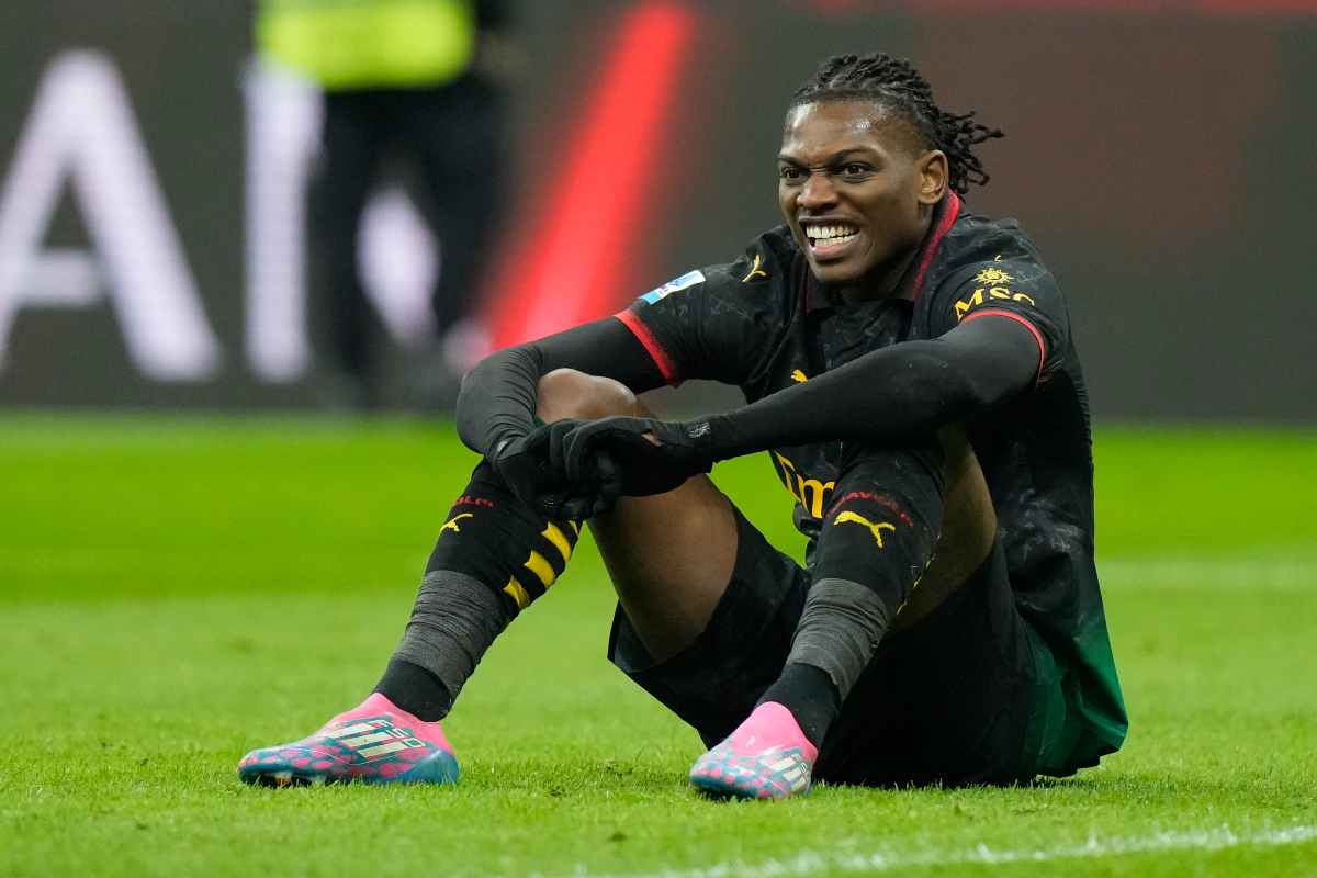 Leao seduto sul campo