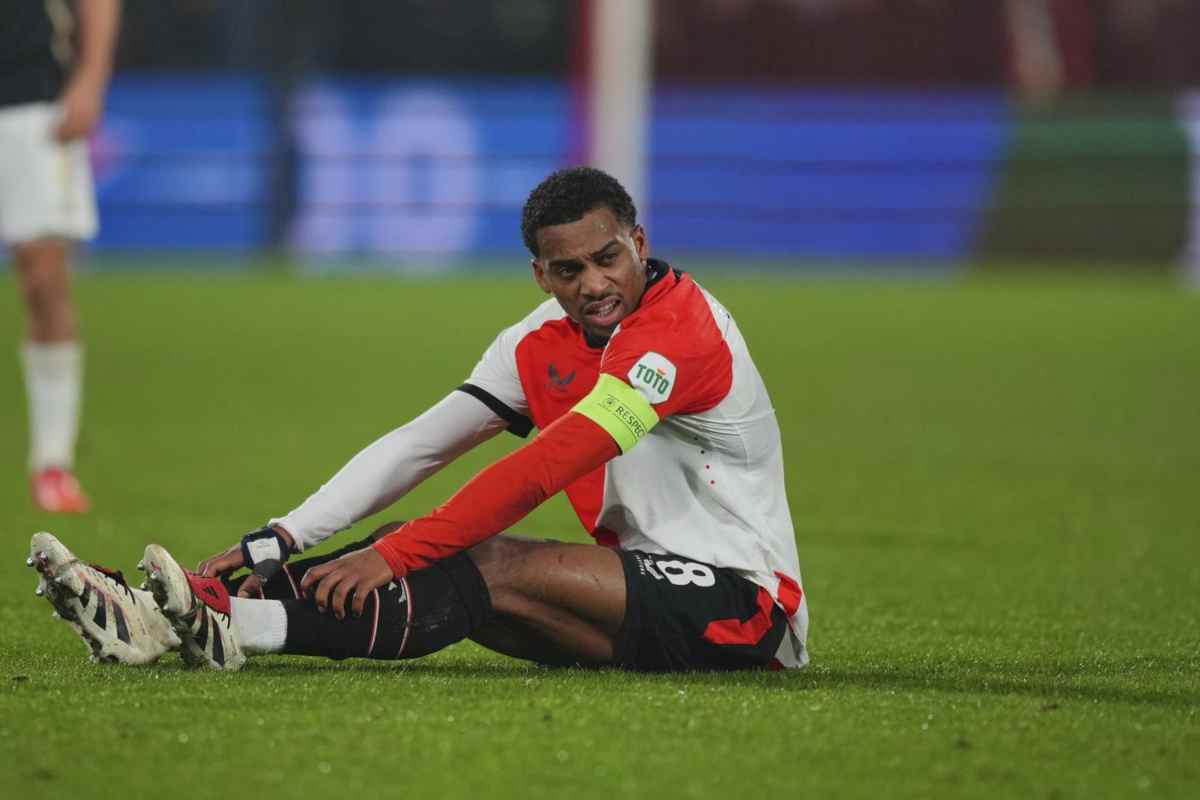 Timber a terra infortunato