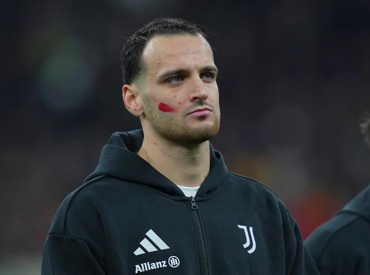 Gatti in primo piano