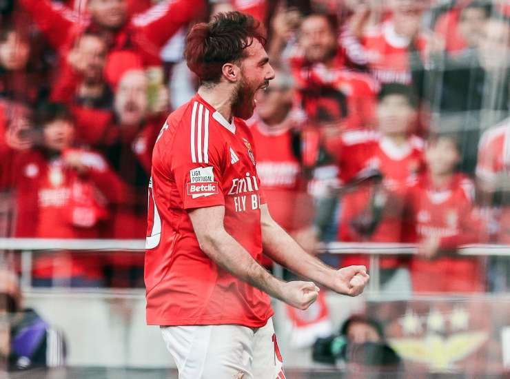 Kokcu esulta con il pubblico