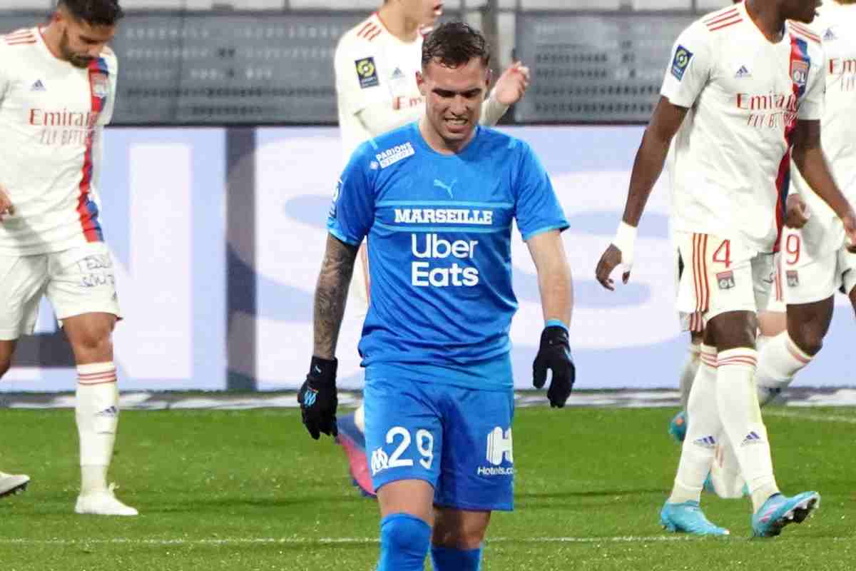 Lirola con la testa abbassata